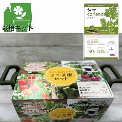 ｔａｎｅ，パクチー種から育てる栽培セット