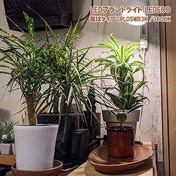 LEDプラントライト：レデコ LPL05WB3K　植物育成用LED　電球タイプ