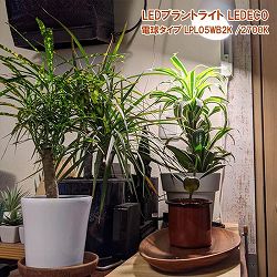 LEDプラントライト：レデコ LPL05WB2K　植物育成用LED　電球タイプ