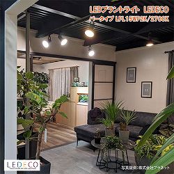 LEDプラントライト：レデコ LPL15WP2K 植物育成用LED　パータイプ