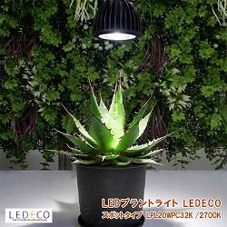 LEDプラントライト：レデコ LPL20WPC32K 植物育成用LED　スポットタイプ