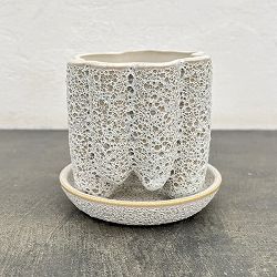 ソル：ストンプS　ホワイト4340（直径12cm）・皿付