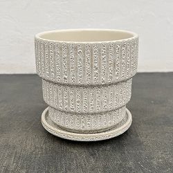 ソル：ラインM　ホワイト4436（直径12.5cm）・皿付
