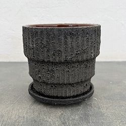 ソル：ラインM　グレー4442（直径12.5cm）・皿付