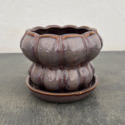 ソル：シェイプM　グレー4448（直径12.5cm）・皿付