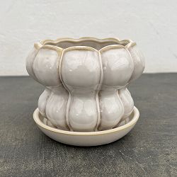 ソル：シェイプM　ホワイト4445（直径12.5cm）・皿付