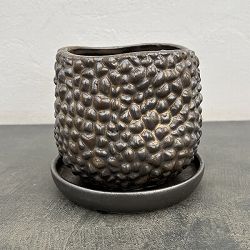 ソル：ジャックS　ブロンズ4475（直径13.5cm）・皿付