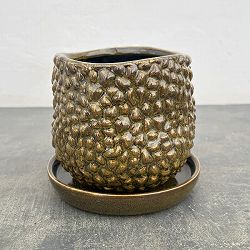 ソル：ジャックS　ブラウン4477（直径13.5cm）・皿付