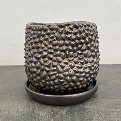 ソル：ジャックM　ブロンズ4476（直径16cm）・皿付