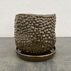 ソル：ジャックM　ブラウン4478（直径16cm）・皿付