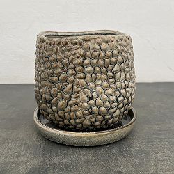 ソル：ジャックM　グレー4474（直径16cm）・皿付