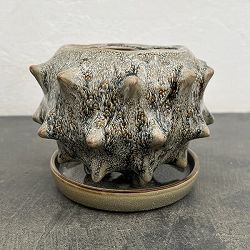 ソル：スターM　グレー4480（直径14cm）・皿付