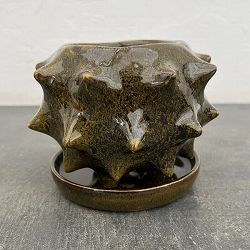 ソル：スターM　ブラウン4484（直径14cm）・皿付