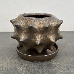 ソル：スターM　ブロンズ4482（直径14cm）・皿付