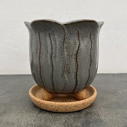 ソル：リップM　グレー4126（直径15cm）・皿付