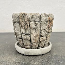 バルクS 4464（直径11.5cm）・皿付