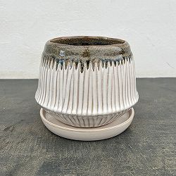 フラスタム ポット アンド ソーサー：Mサイズ（直径17.3cm、高さ14cm）