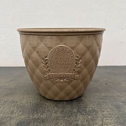 イルフォサークルSBEベージュ（MS1449）