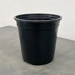 モスポール鉢：黒5号（直径15cm）