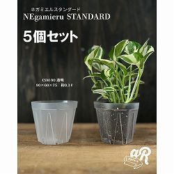 スリット鉢（透明）：ネガミエルスタンダード3号 5個セット
