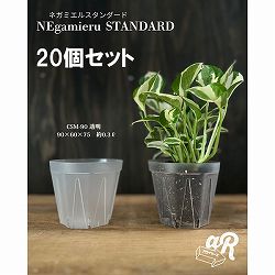 スリット鉢（透明）：ネガミエルスタンダード3号 20個セット