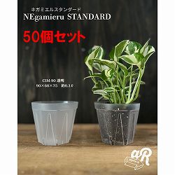 スリット鉢（透明）：ネガミエルスタンダード3号 50個セット