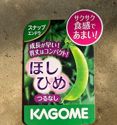 スナップエンドウマメ：ほしひめ3号ポット
