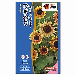 ヒマワリ：F1サマーラバー[春～夏まき タキイ 花タネ]