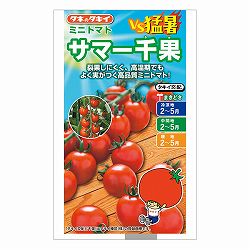 ミニトマト：サマー千果[タキイ 野菜タネ]