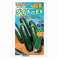 ズッキーニ：ダイナーEX[春まき タキイ 野菜タネ]