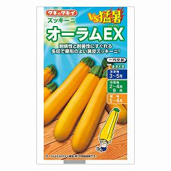 ズッキーニ：オーラムEX[春まき タキイ 野菜タネ]