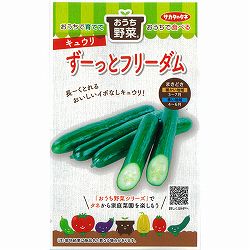 キュウリ：ずーっとフリーダム　の種[サカタ　野菜タネ　「おうち野菜」シリーズ]