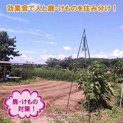農作物被害対策器 鹿・けもの警報器 DG602効果的セット（三脚支柱付）