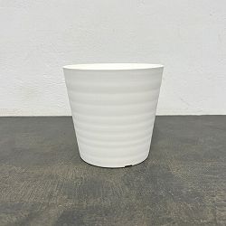 セラアート5号Sサイズ（白）