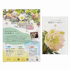 【会員プレゼント！】クリスマスローズ専門家・松村ナーセリー　パンフレットセット<