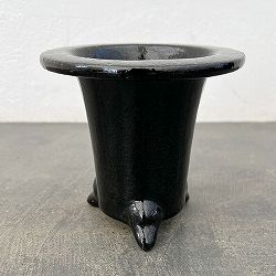 オモト（万年青）鉢：黒鉢【260123】