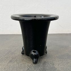 オモト（万年青）鉢：黒鉢【260124】