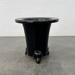 オモト（万年青）鉢：黒鉢【260126】