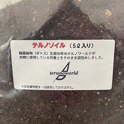 [送料無料]テルノソイル　５リットル 3株セット