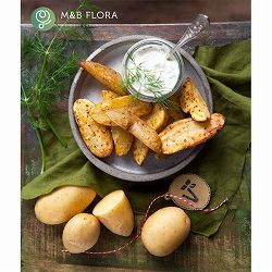 じゃがいもの苗：金のおつまみ芋3号ポット