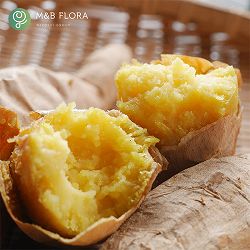 サツマイモ：きみまろこ4連カットパック