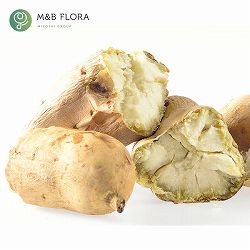 サツマイモ：しろほろりこ4連カットパック