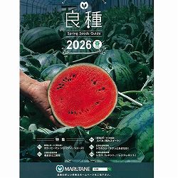 【会員プレゼント】商品カタログ：丸種 良種2026春（春まき野菜の種カタログ）<