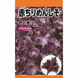 シソ：赤ちりめんしそ の種[野菜タネ]