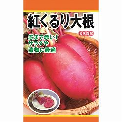ダイコン：紅くるり大根 の種[野菜タネ]*