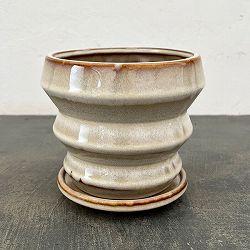 アガタ：白M（直径約13cm・皿付）