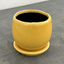 アンジェラ：黄L（直径約11cm）・皿付