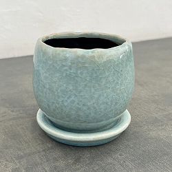 アンジェラ：薄青L（直径約11cm）・皿付