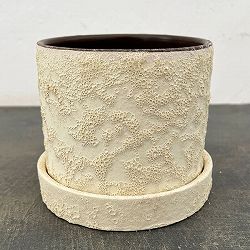 ジュリア：白L（直径12cm）・受け皿付