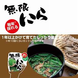 無限にら3号ポット3ポットセット